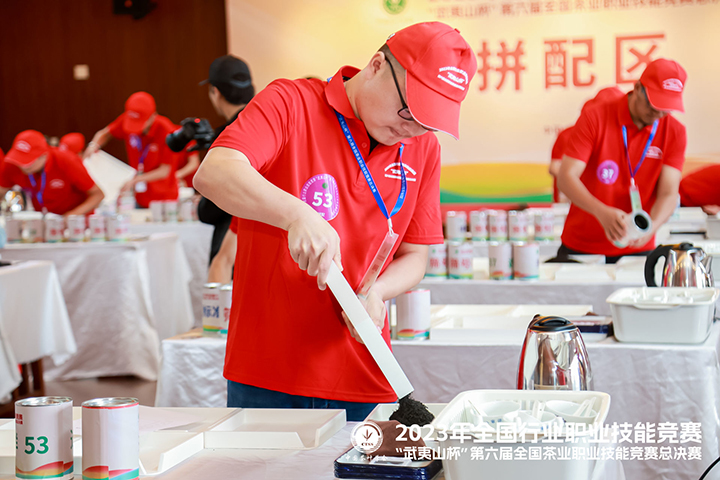 修1：陈成参与茶叶拼配考核.jpg
