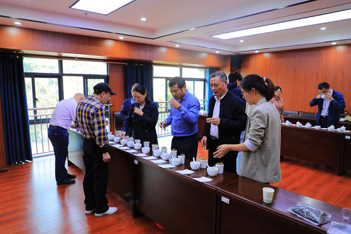 720  图：活动现场专家鉴评茶样.jpg