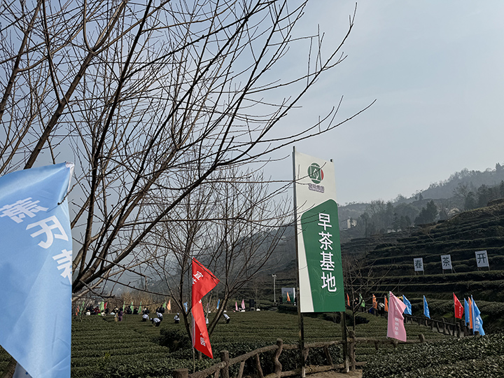 720---图3.jpg