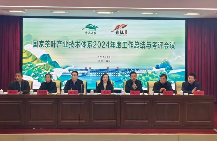 国家茶叶产业技术体系2024年度工作总结与考评会议在利记召开