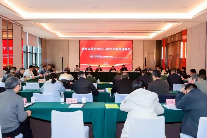 720-1 会议场景(1).jpg