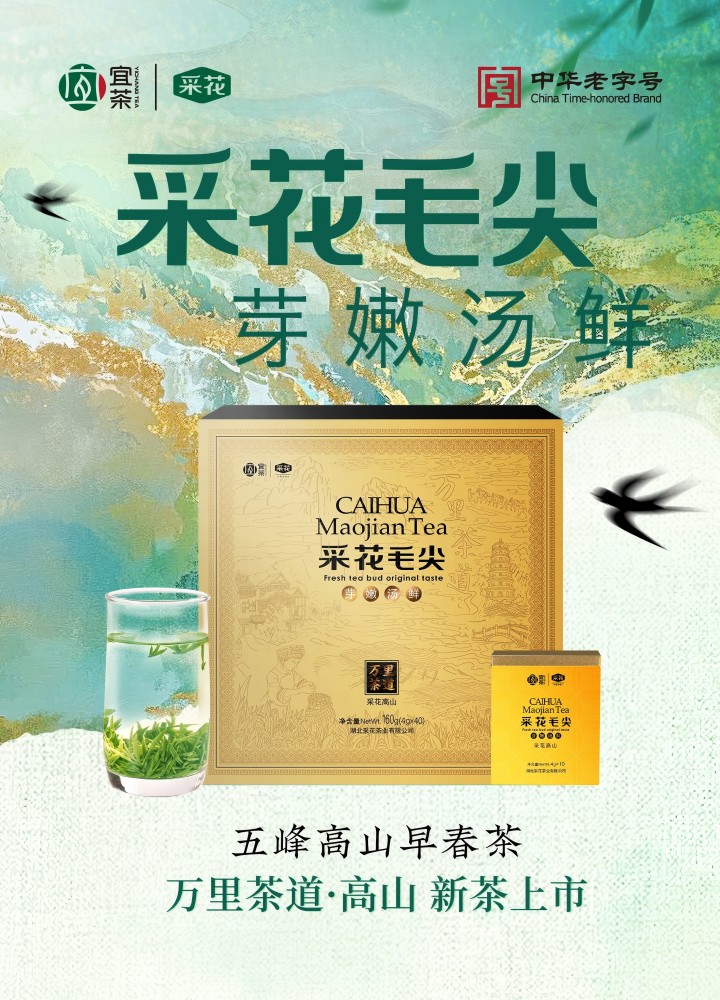 720 采花毛尖-高山.jpg